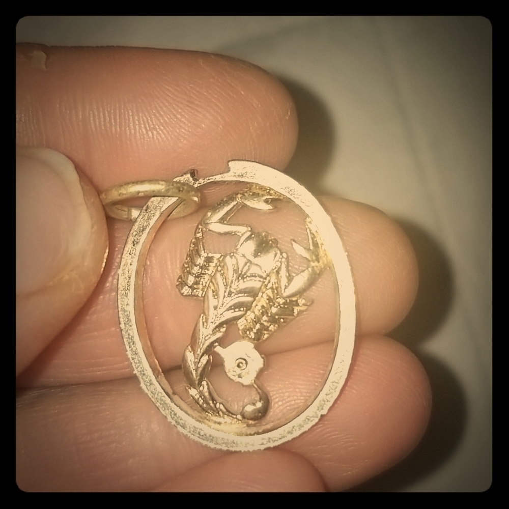 Scorpion charm